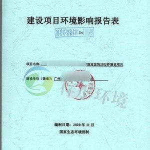 環(huán)評影響評價報告